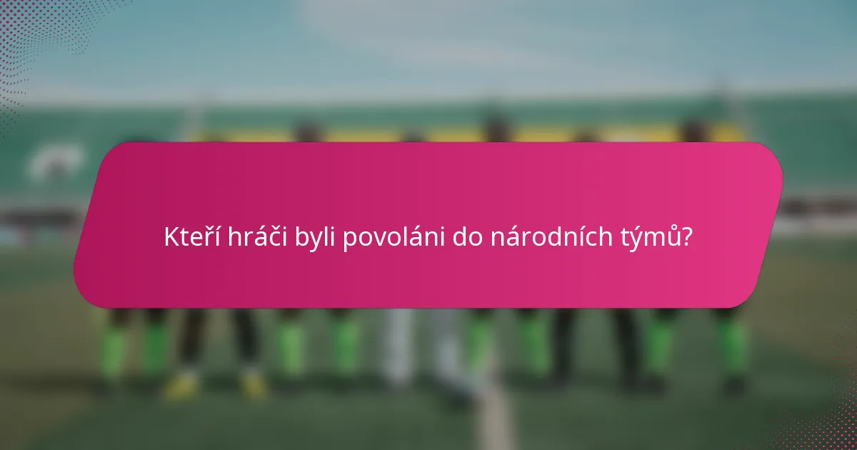 Kteří hráči byli povoláni do národních týmů?
